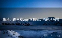 揭秘：向日葵app下载背后的神秘细节