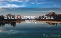 国际社会对结婚时被伴郎玩的反应 · 国际772
